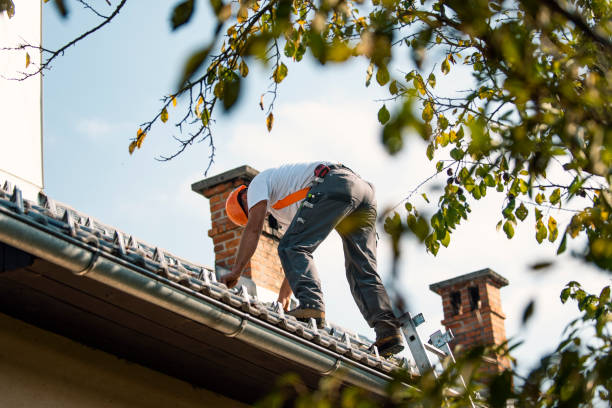 Professional Roofing Contractor in Iona, FL